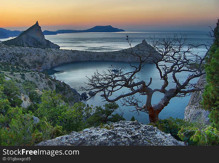 Mountain cape and tree at sunrise