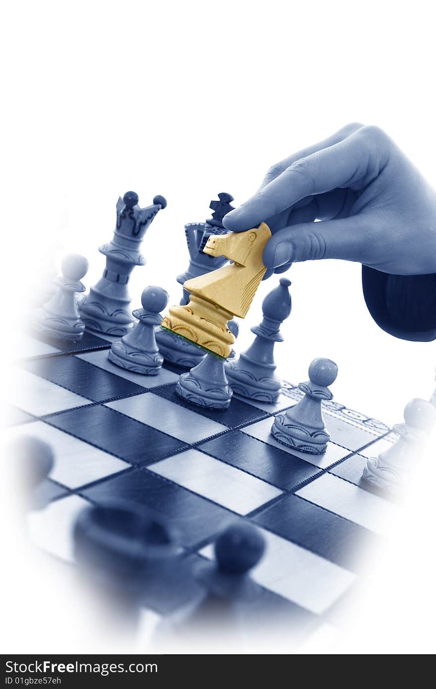 Variants chess composition on white background