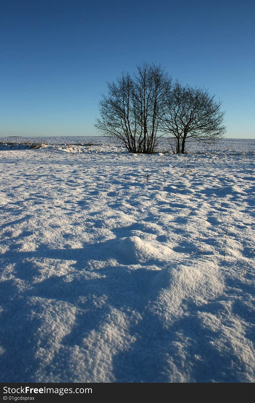 Canon 400d, winter in Poland