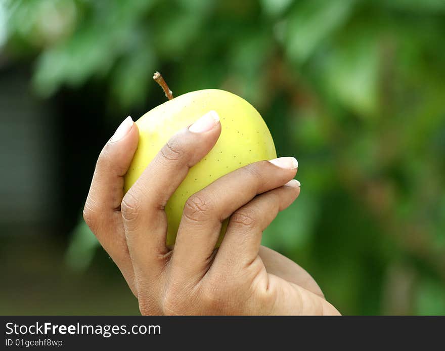 A photo of somebody holding a golden apple. A photo of somebody holding a golden apple.