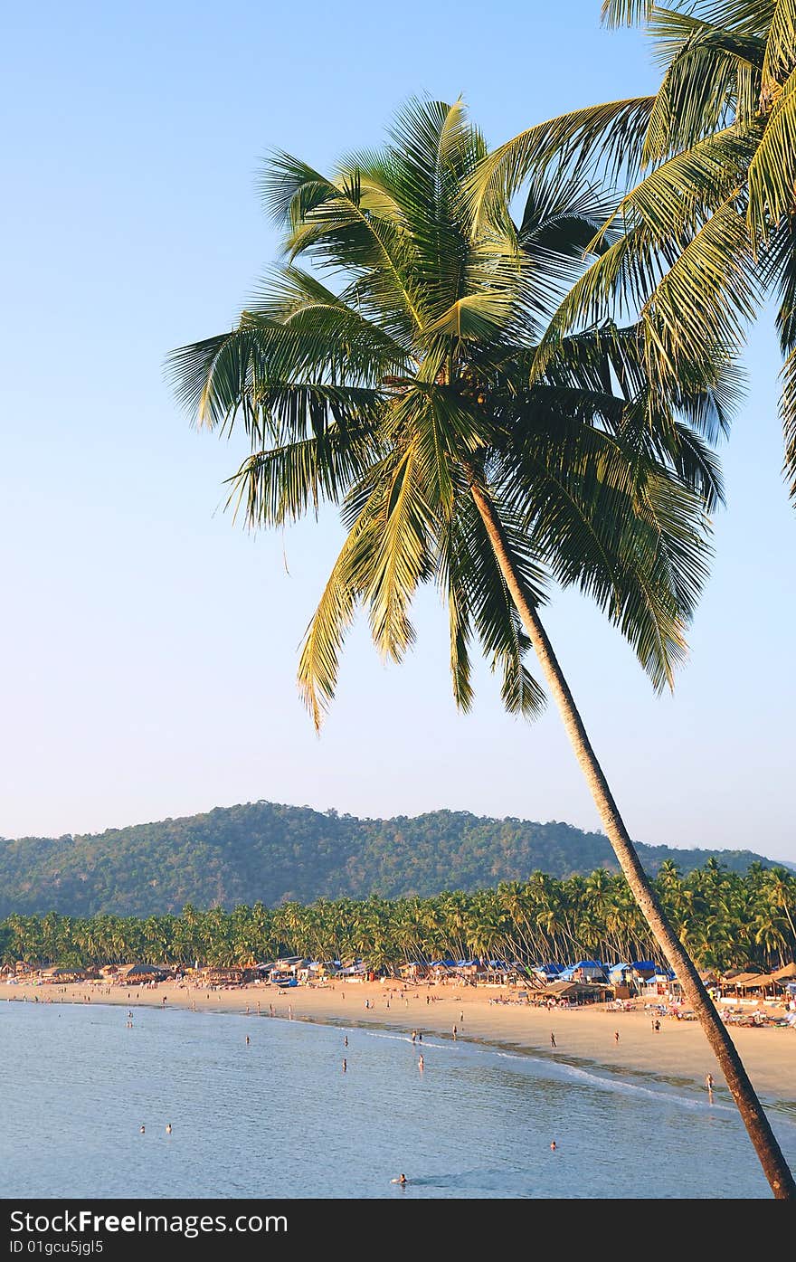 Palm trees with beautiful seascape on background with mountains, bay, sand beach and shacks. Palm trees with beautiful seascape on background with mountains, bay, sand beach and shacks.