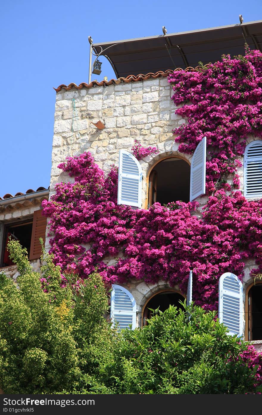 European Summer House With Flowers