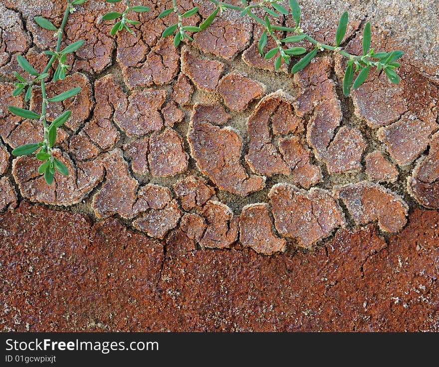 Background abstract: dry soil in summer. Background abstract: dry soil in summer