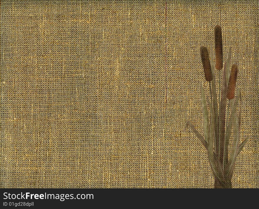 Rustic canvas texture with bunch of the bulrush. A natural material.