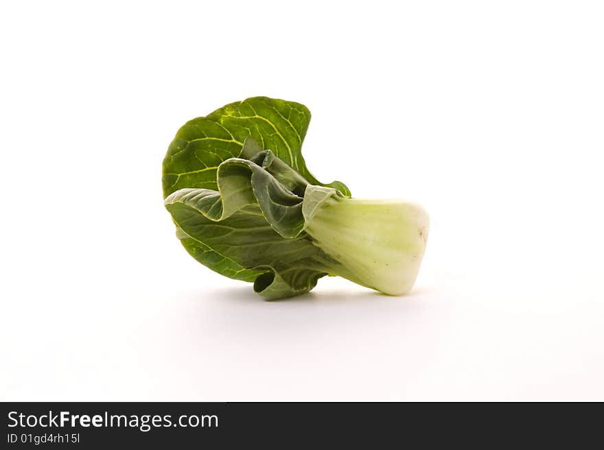 Single bokchoy cabbage on a white background