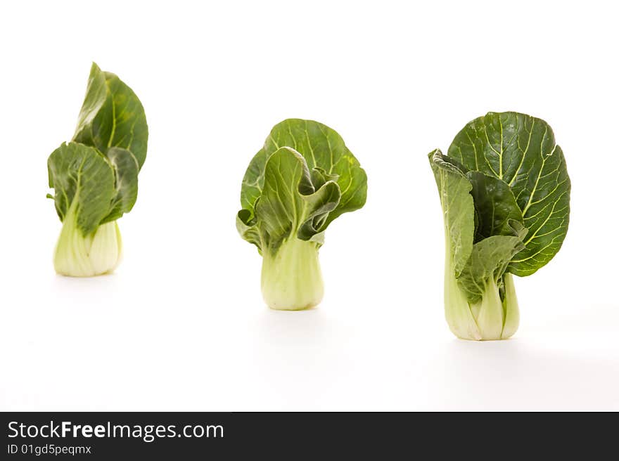 Three bokchoy cabbages on a white background