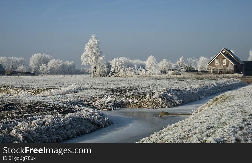 Very cold winter in holland  with trees snd ice on the water