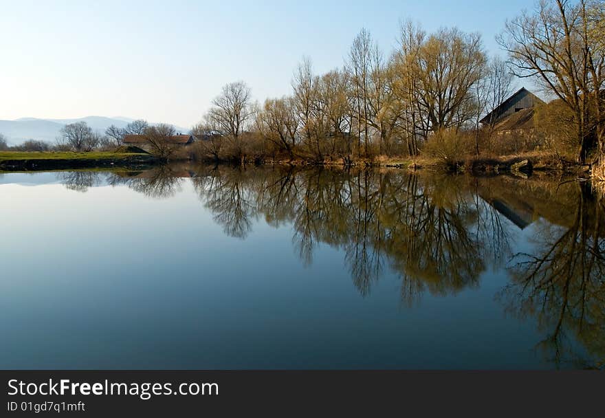 Mirrored trees in morning blue sky