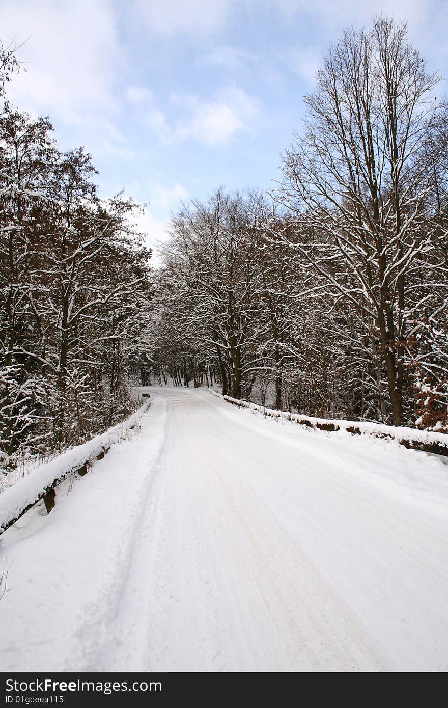 Winter landscape