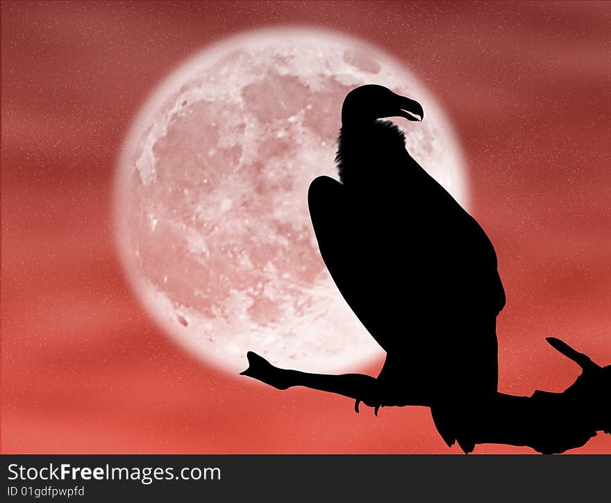 Eagle silhouette in the moon and in the night. Eagle silhouette in the moon and in the night