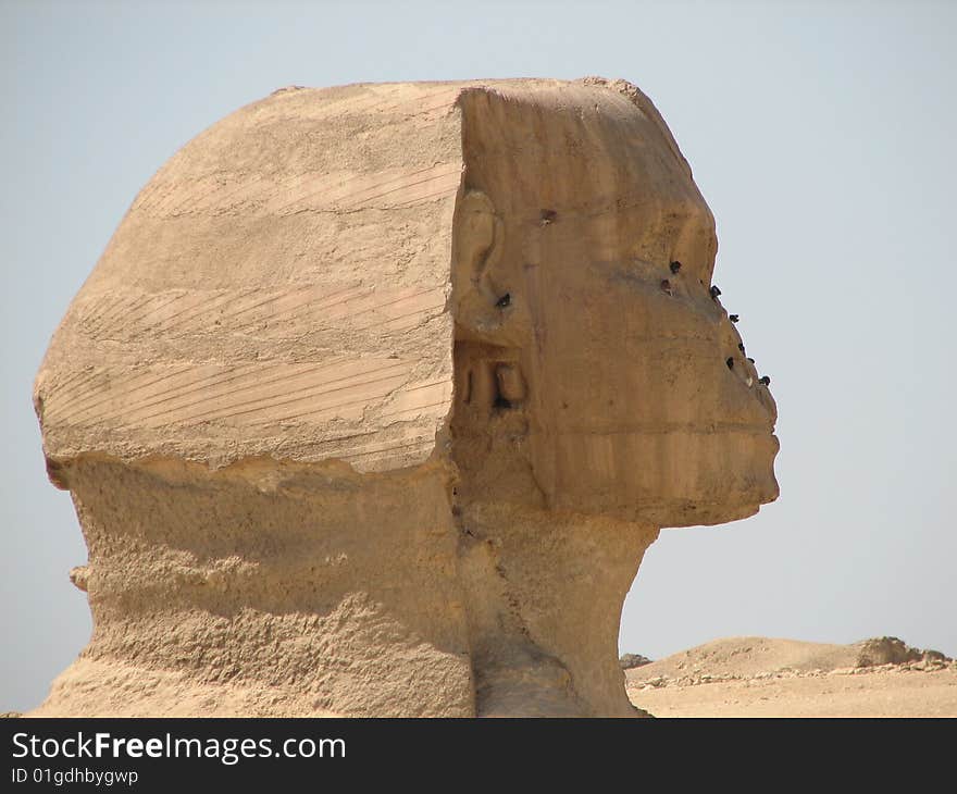 This is the Sphinx in Giza, Egypt