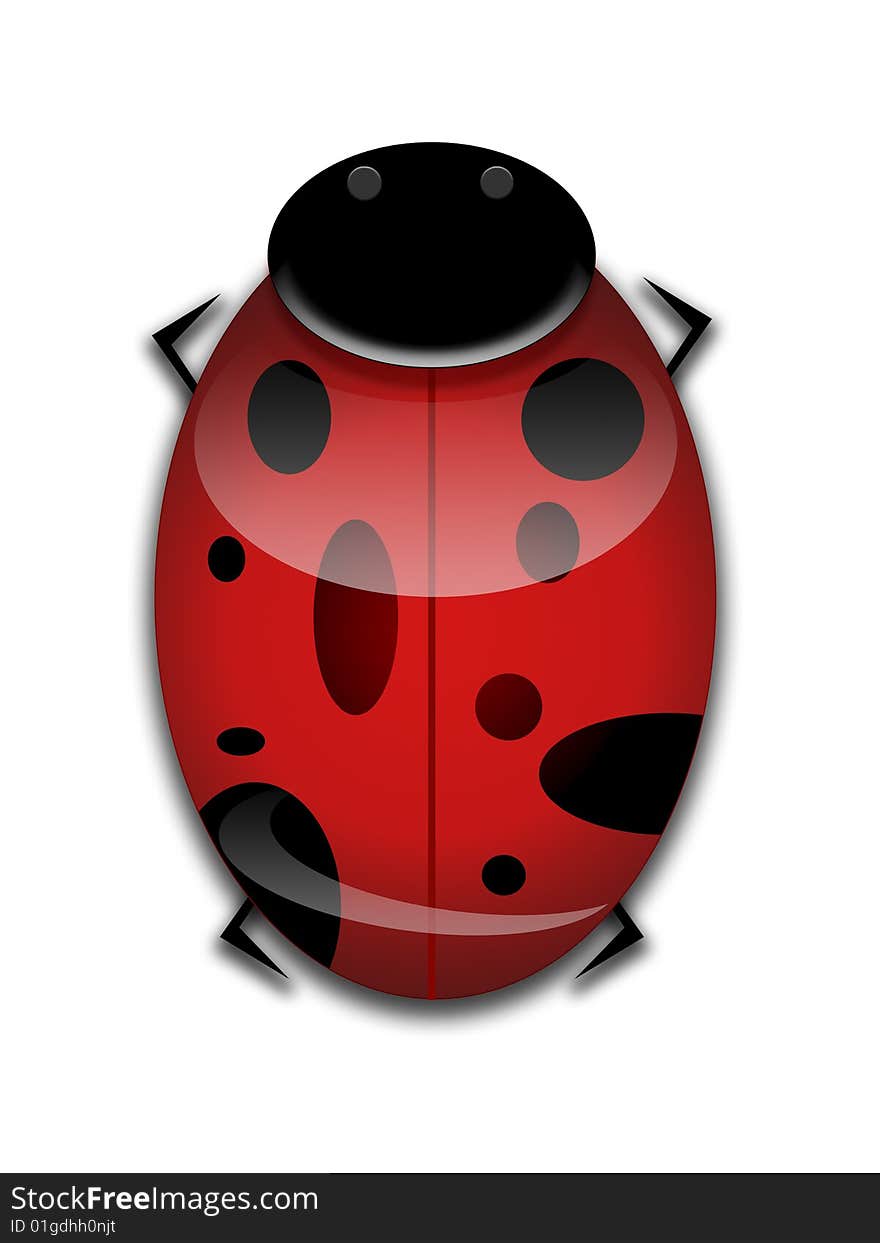 LadyBug Graphic