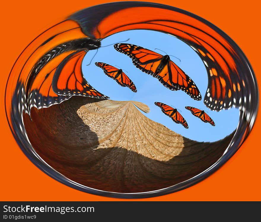 Monarch Butterfly Colorful Circular Abstract. Monarch Butterfly Colorful Circular Abstract