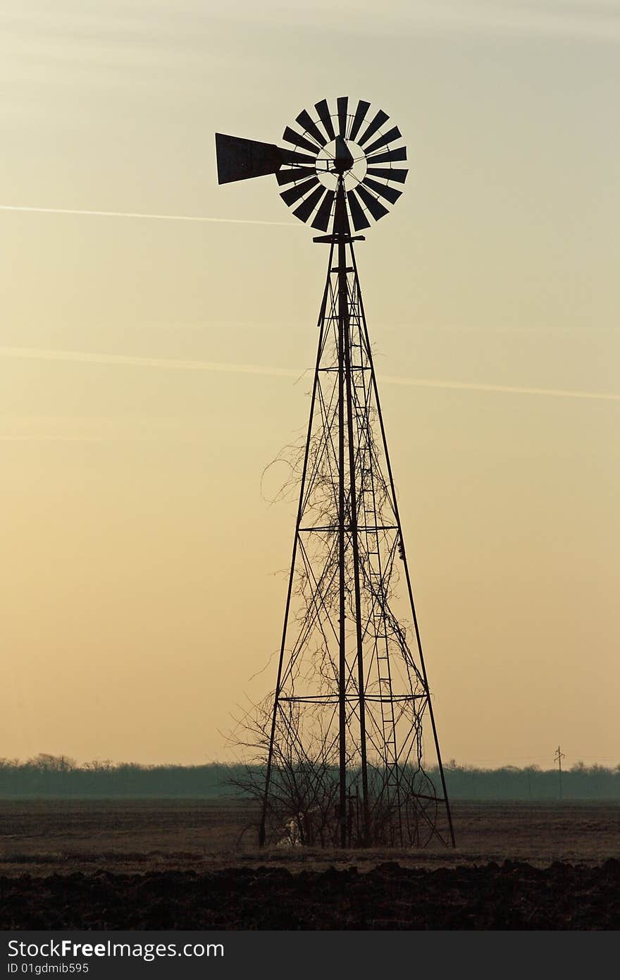 A windmill stands in silhouette against the soft colors of a winter sunrise.  Contrails of two passing jets appear in the sky behind and above while vines have overgrown the framework and ladder. A windmill stands in silhouette against the soft colors of a winter sunrise.  Contrails of two passing jets appear in the sky behind and above while vines have overgrown the framework and ladder.