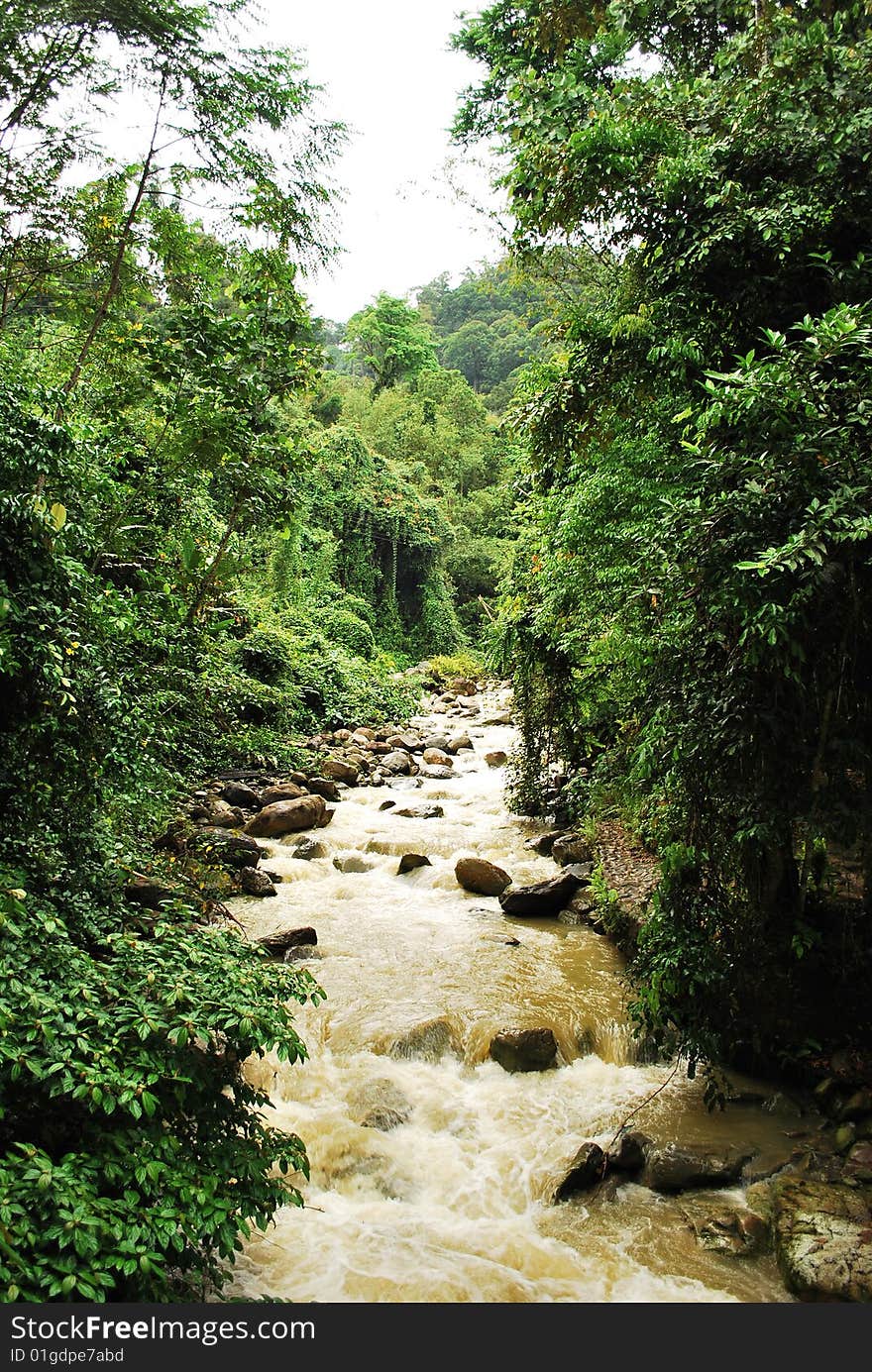 Sungai Mamut, a river in Sabah, Malaysia. Sungai Mamut, a river in Sabah, Malaysia