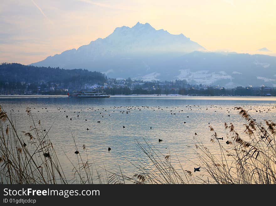 Evening on the swiss lake