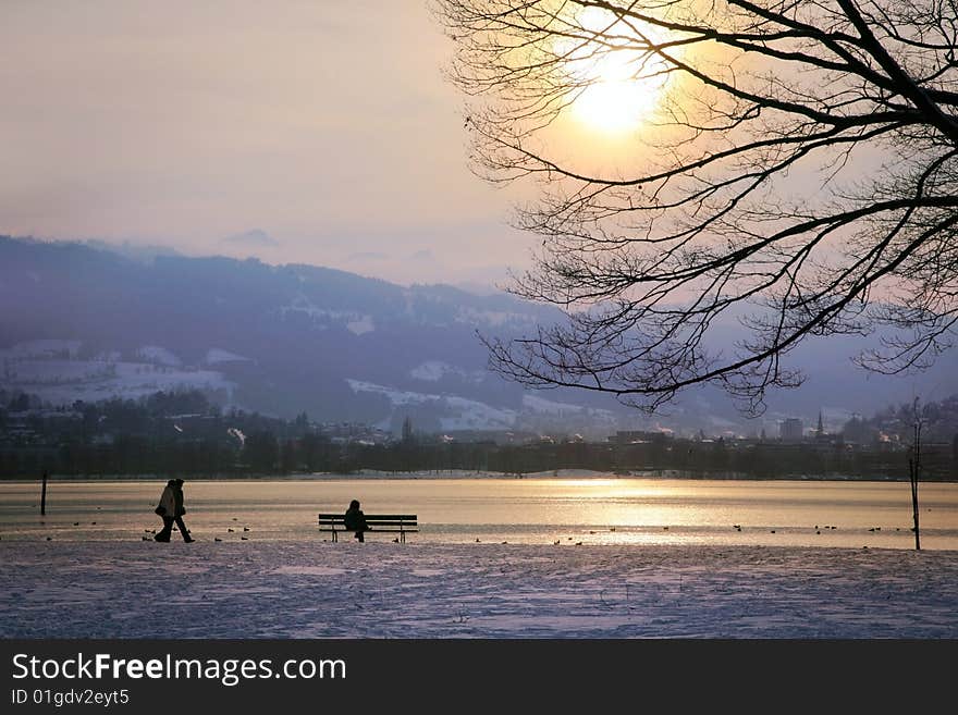 Sunny Park On The Swiss Lake