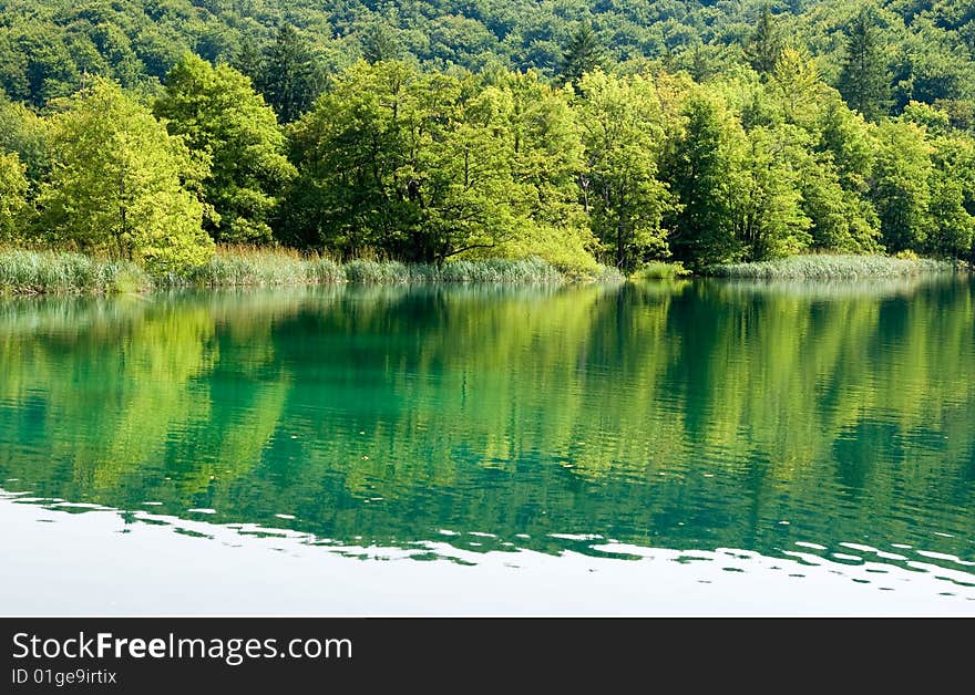 Lake In The Plitvice National Park