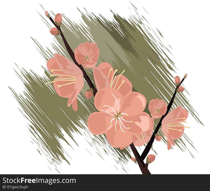 Natural view, Modern Spring flowers Illustration.