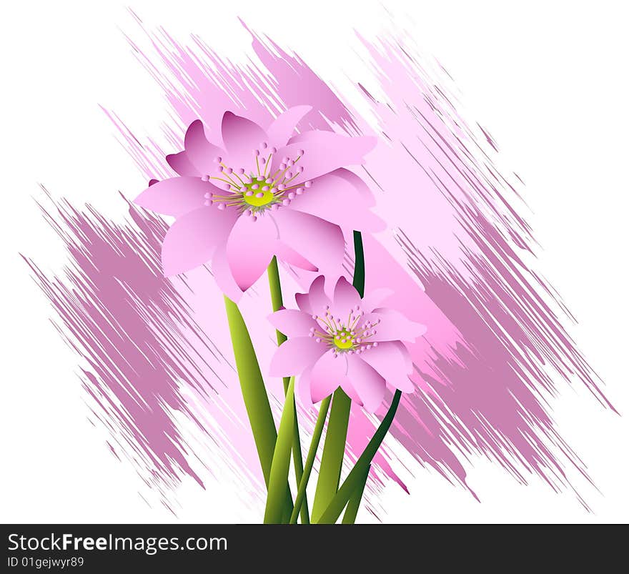 Natural view, Modern Spring flowers Illustration.