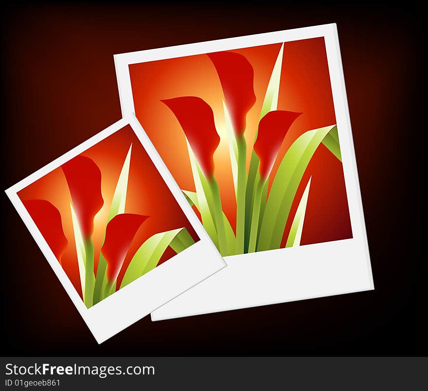 Natural view, Modern Spring flowers Illustration.