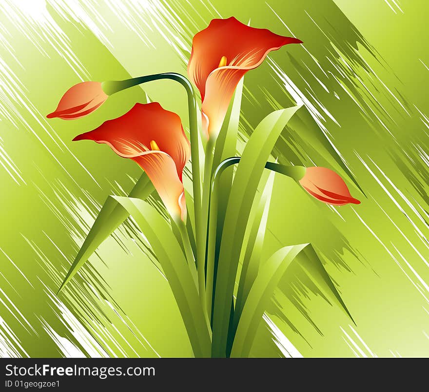 Natural view, Modern Spring flowers Illustration.