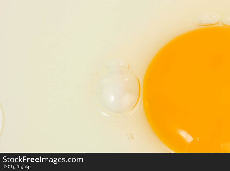 Egg