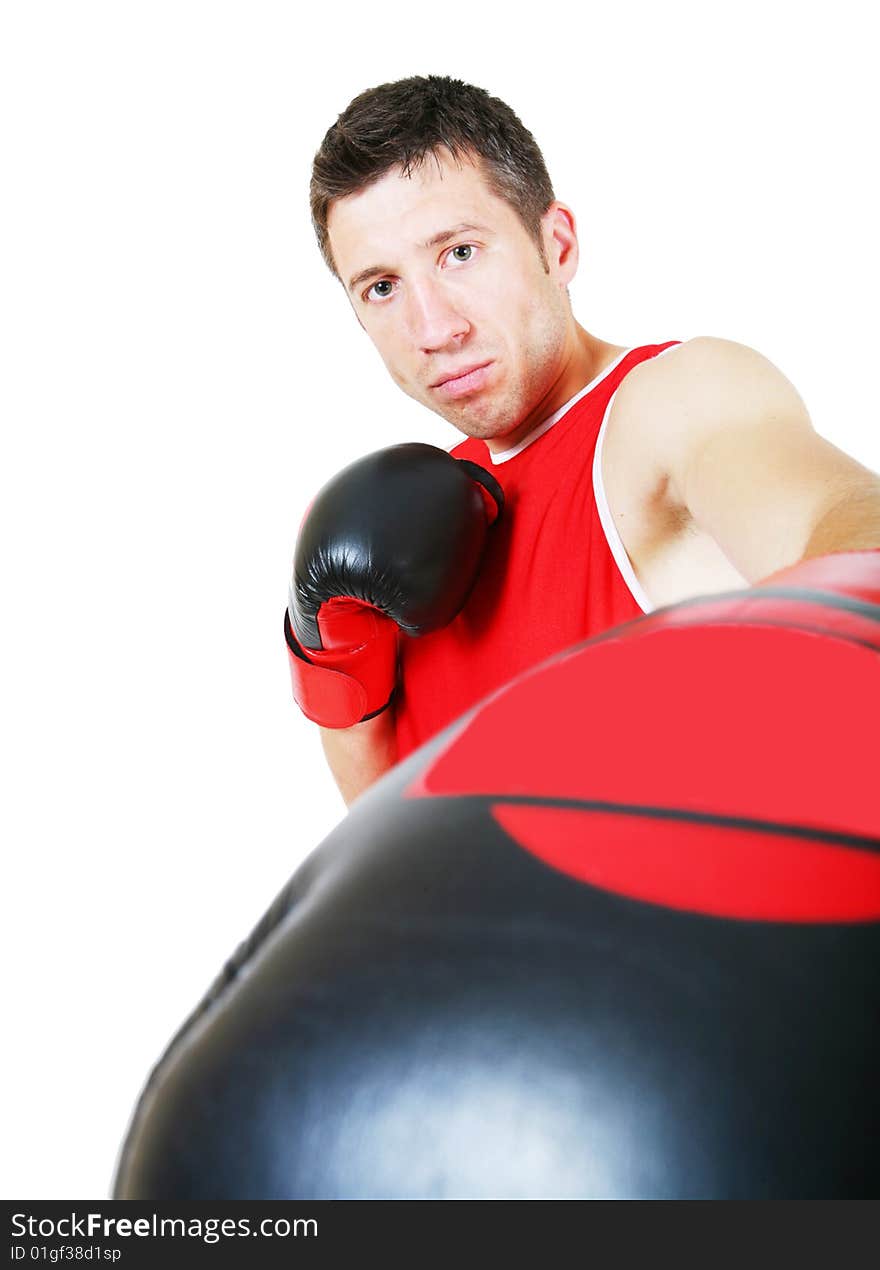 Boxer on white background. Isolated