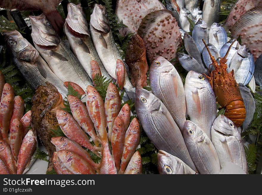 A rich and assorted fish bench in a restaurant. A rich and assorted fish bench in a restaurant.