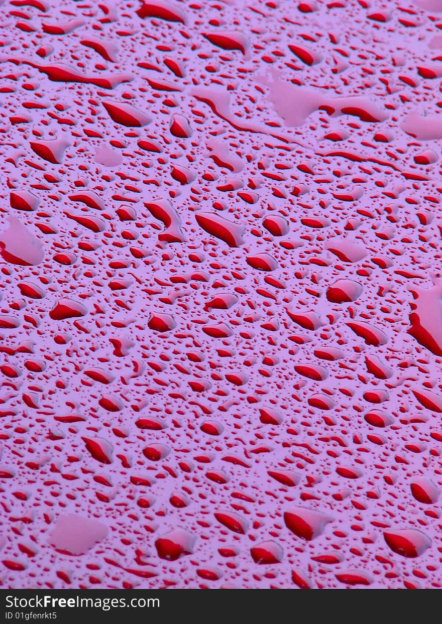 Water drops on magenta background