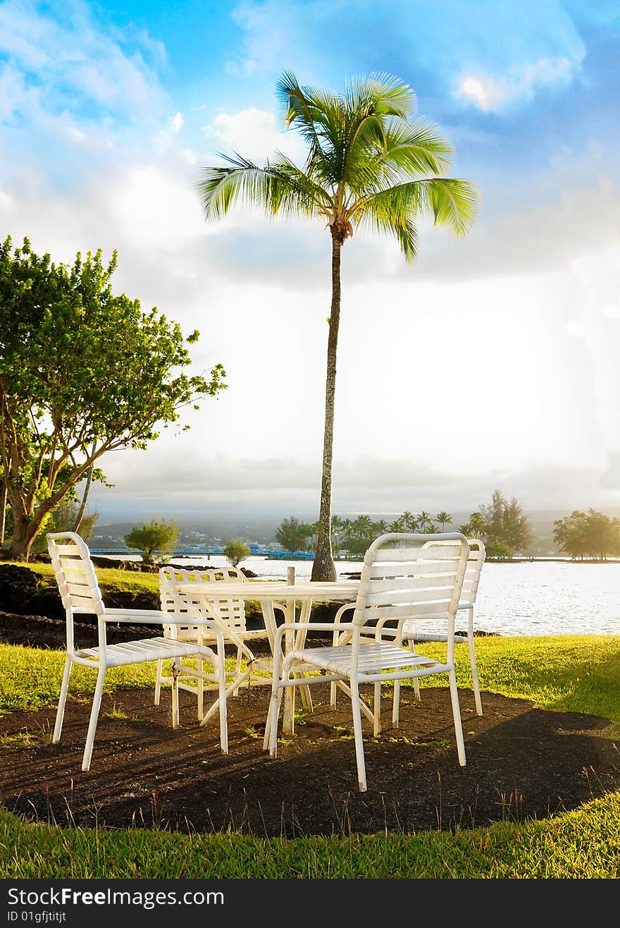 Deck chairs with a palm tree