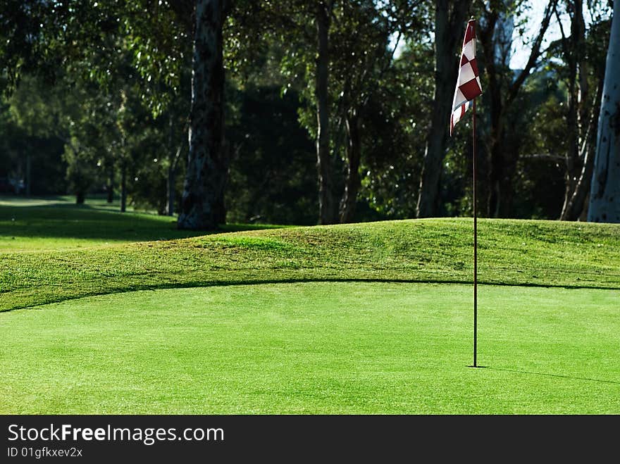 Picture of a flag in the hole on a golfgreen with trees in the background. Picture of a flag in the hole on a golfgreen with trees in the background.