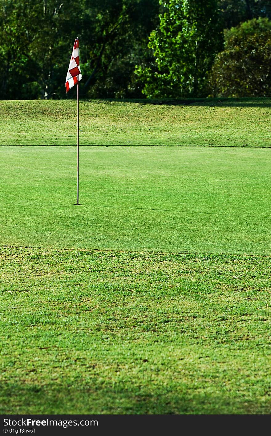 Picture of a flag in the hole on a golfgreen with trees in the background. Picture of a flag in the hole on a golfgreen with trees in the background.