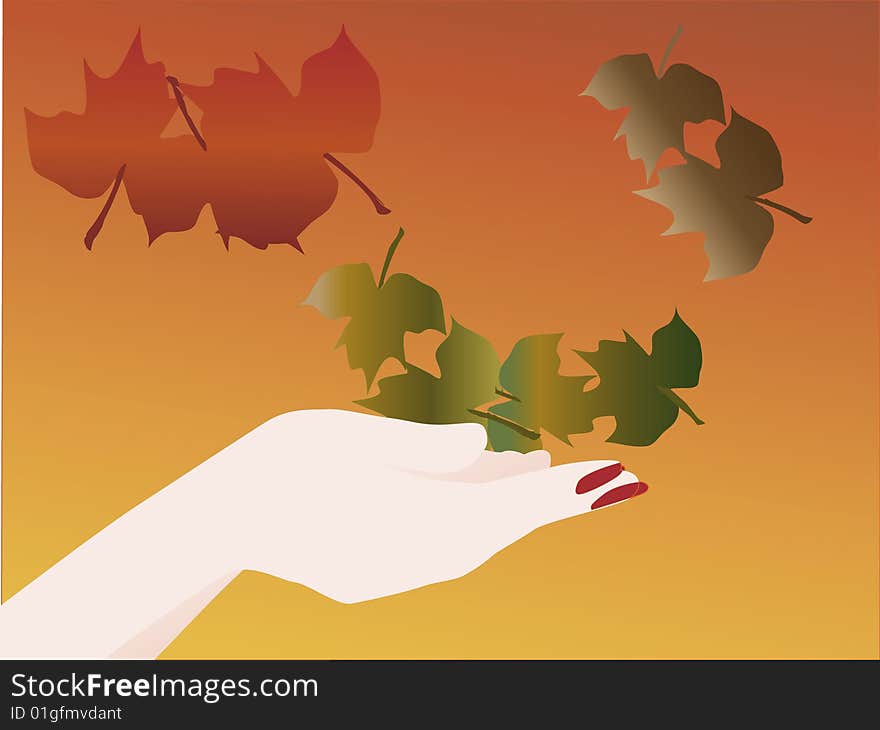 Female hand catching falling leaves