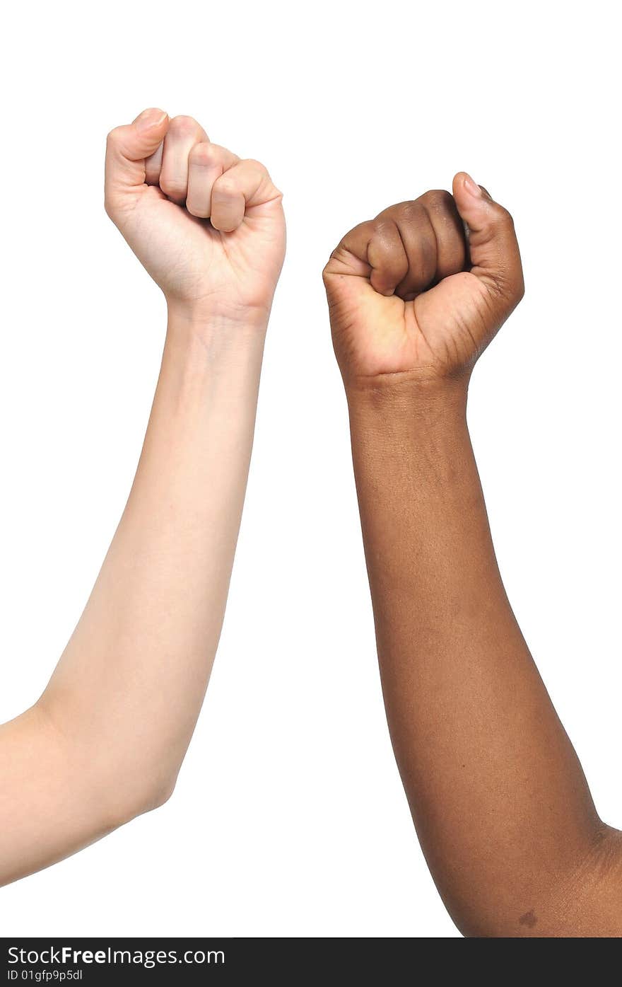 African and European fists aimed towards the sky, on white background. African and European fists aimed towards the sky, on white background