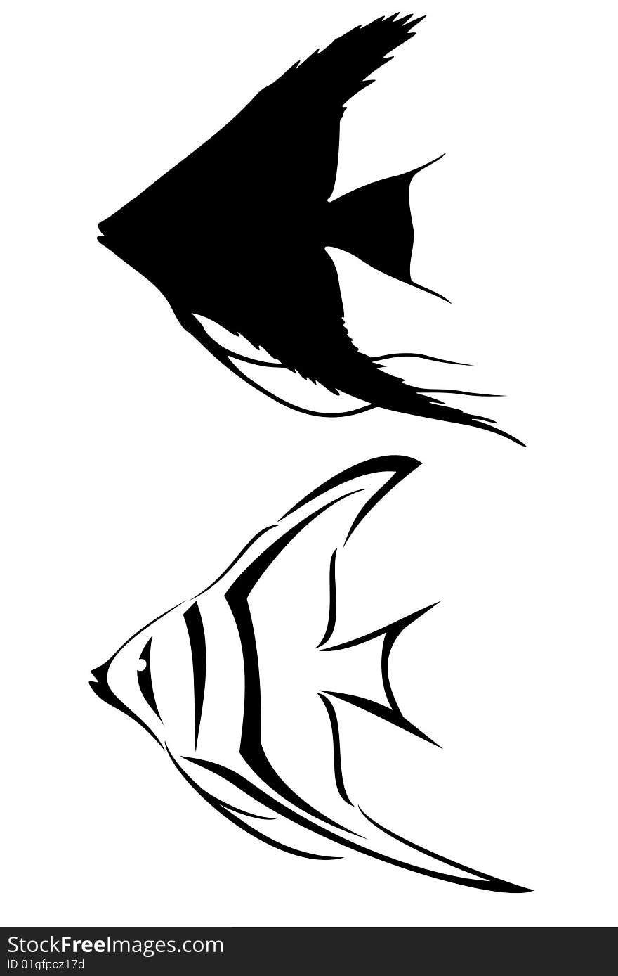 Angelfish