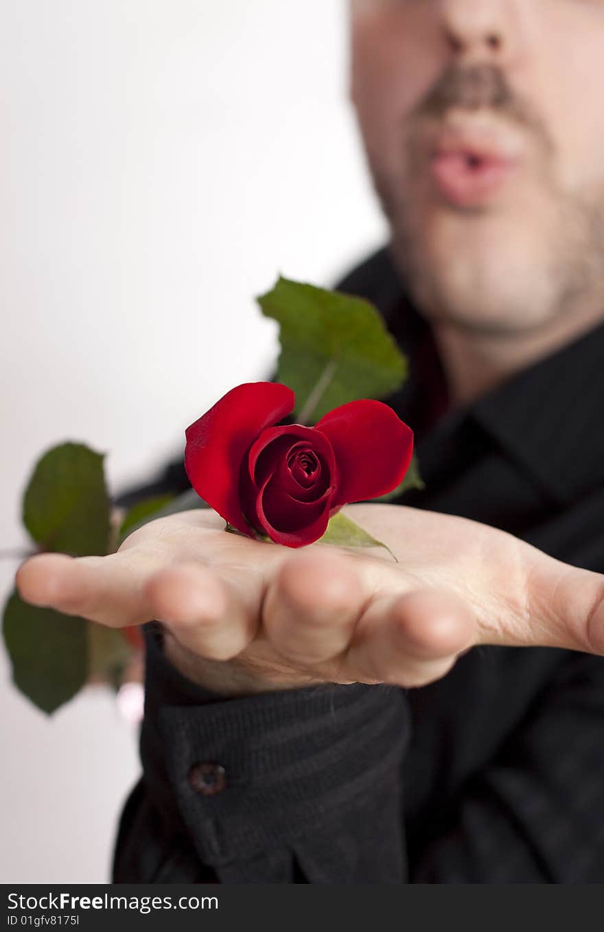 Young man, holding a beautiful red rose on his palm, blowing in its direction. Young man, holding a beautiful red rose on his palm, blowing in its direction