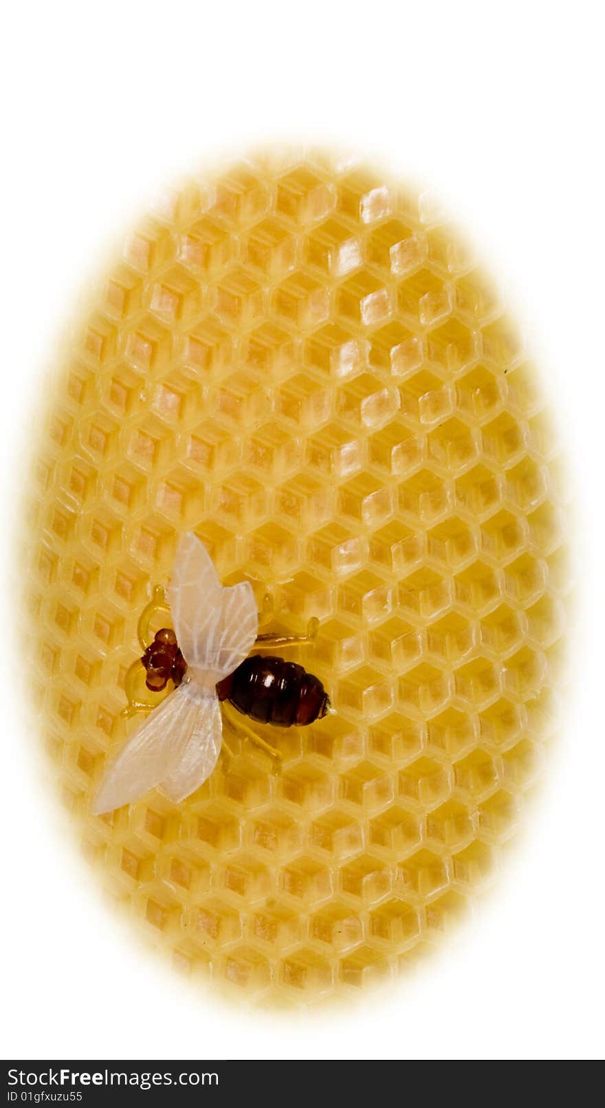 The bee sits on yellow equal honeycombs