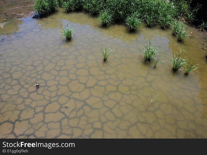 Chapped pond