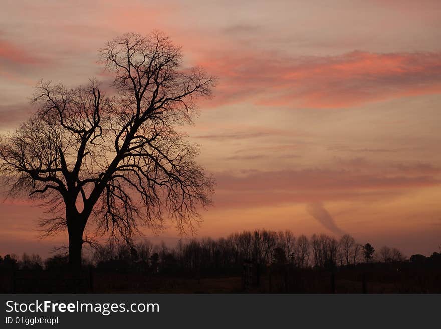 Lone tree at sunrise on a farm. Lone tree at sunrise on a farm.