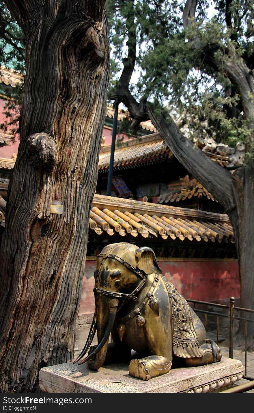 Garden on the back of the forbidden city. Garden on the back of the forbidden city