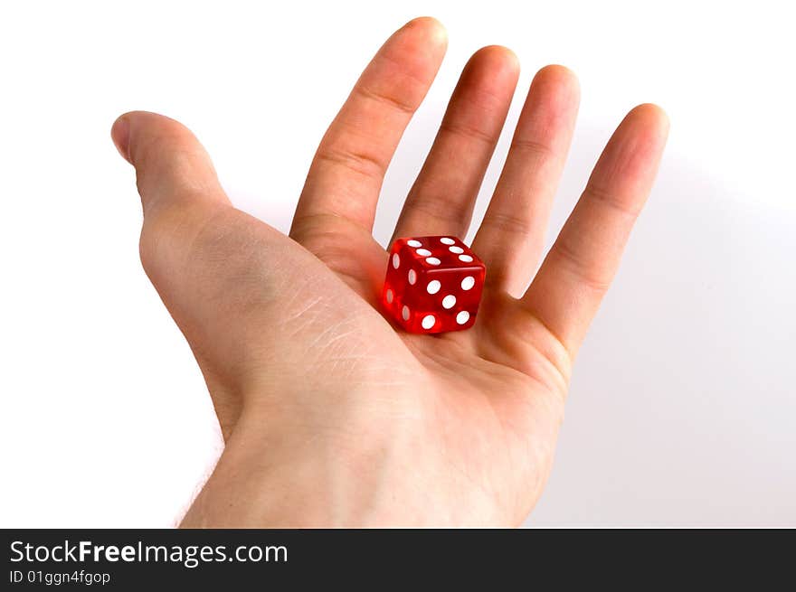 Dice In Hand