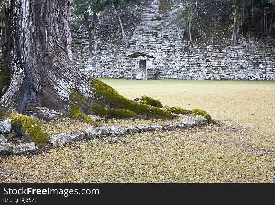 Ancient Ruins of Copan, Honduras