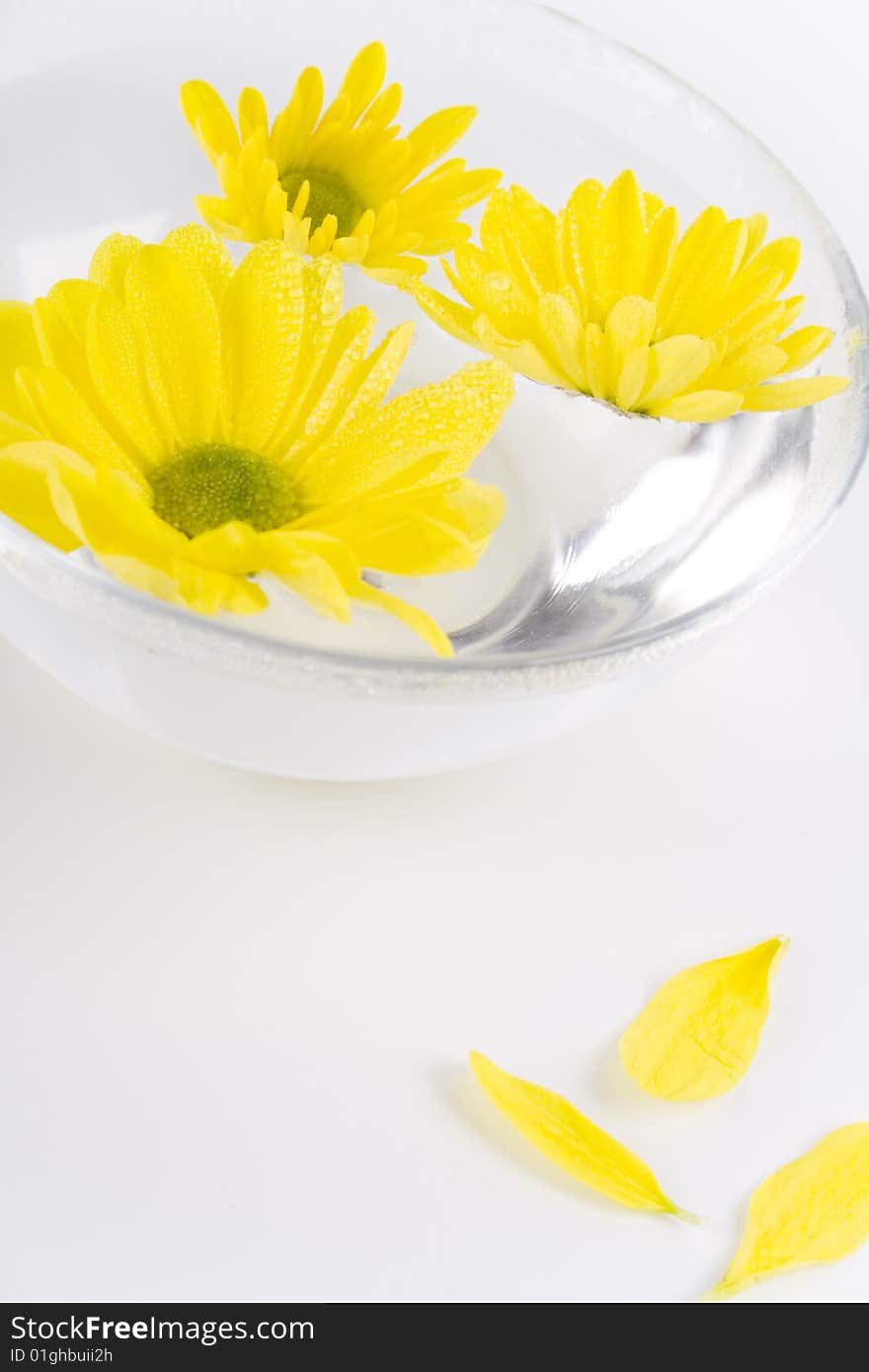 Yellow flowers