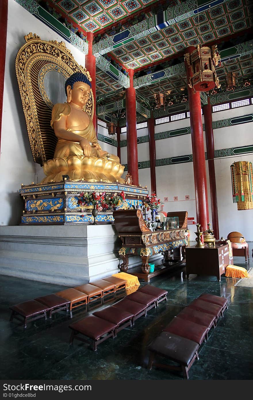 Buddha,in zhong hua chinese buddhist monastery.(nepal)