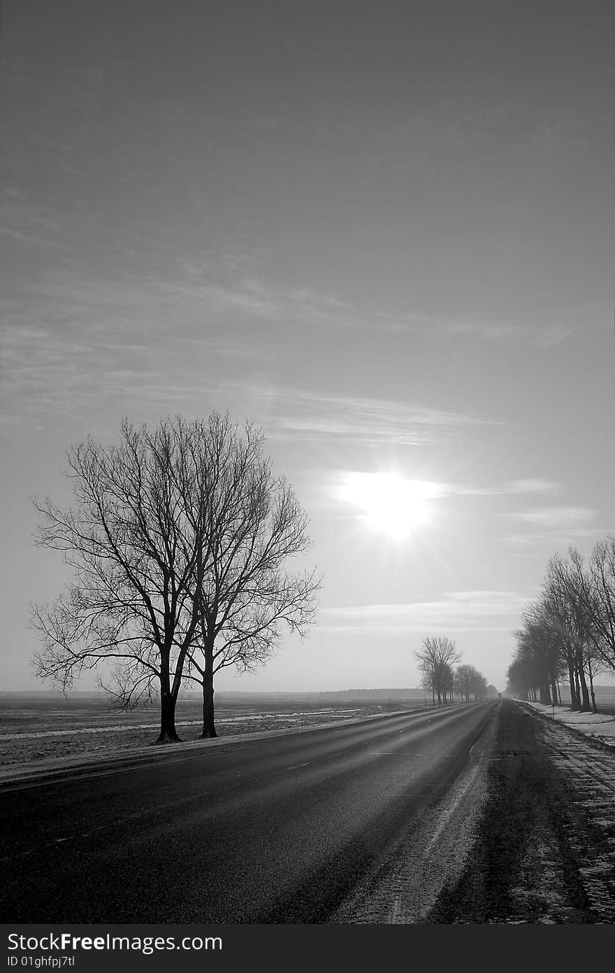 Longest road in the B / W