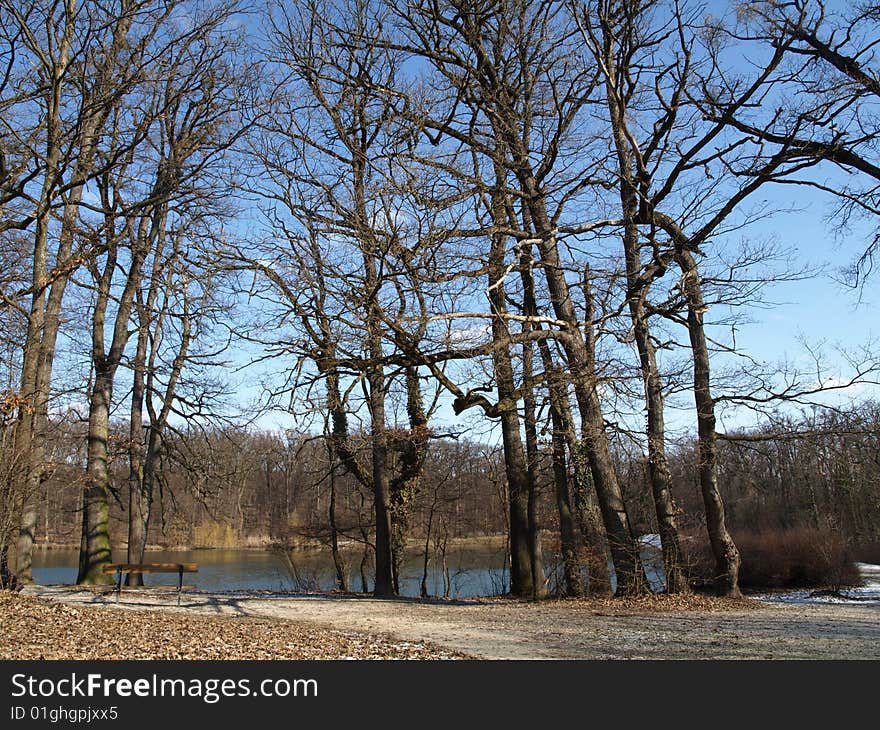 Maksimir forest,photo was taken on February 18th, 2009. Maksimir forest,photo was taken on February 18th, 2009.