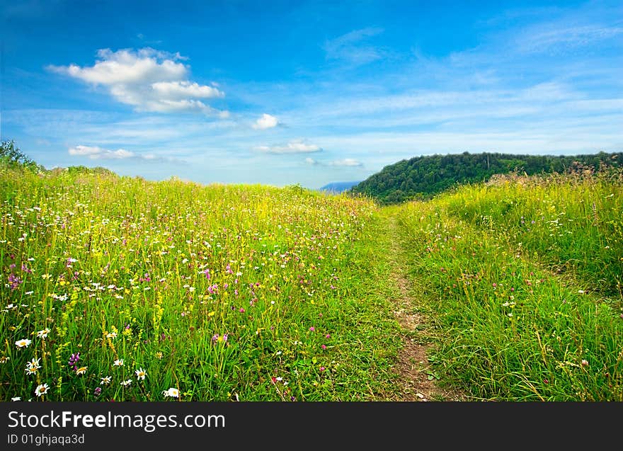 Background of cloudy sky and grass