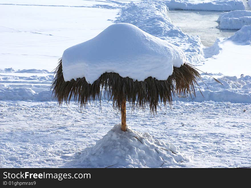 Winter snow canopy on coast of a pond