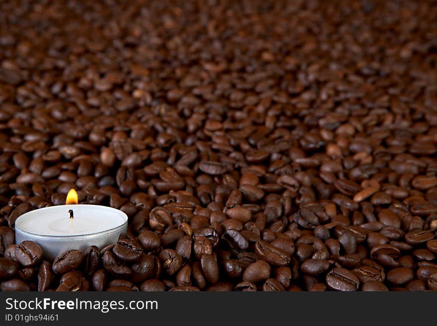 Coffe Beans And Light